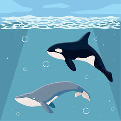 blue and orca whales