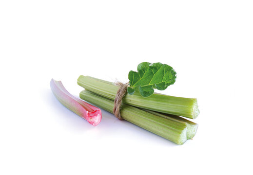 Red and green rhubarb stalks with a green leaf, tied with twine on a white background. Fresh useful plant from the garden. 