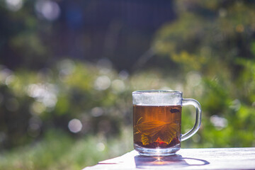 Transparent mug with fresh hot berry black tea and currant. An invigorating drink in the early morning in nature with the rays of the warm sun