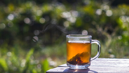 Transparent mug with fresh hot berry black tea and currant. An invigorating drink in the early morning in nature with the rays of the warm sun