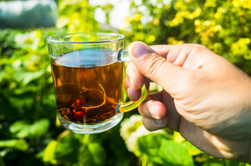 The hand holds a mug with fresh hot black tea. Beautiful green background of vegetation in the morning with the rays of the sun. Invigorating drink