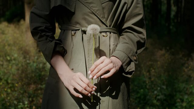 Woman holding a dandelion in her hands, no face, vertical video