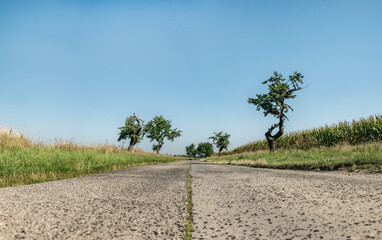 Panorama drogi w krajobrazie wiejskim w porze letniej, pola i drzewa w oddali na tle błękitnego nieba z lekko pochmurną pogodą