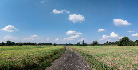 Panorama ścieżki w krajobrazie wiejskim w porze letniej, pola i drzewa w oddali na tle błękitnego nieba z lekko pochmurną pogodą