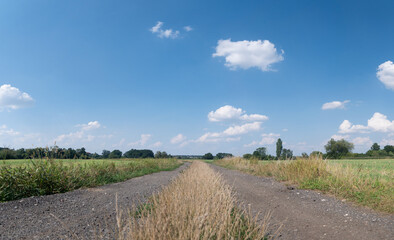 Panorama ścieżki w krajobrazie wiejskim w porze letniej, pola i drzewa w oddali na tle...