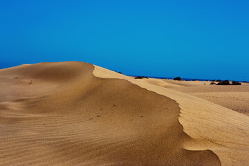 Ноt sands of Dunes in Mas Palomas, Gran Canaria with  a blue sky and ocean on the background