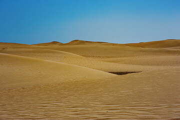 Fototapeta na wymiar Desert of Dunes in Mas Palomas, Gran Canaria with a blue sky 