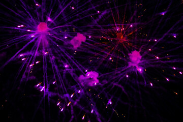 Bright, beautiful purple fireworks in the night sky.