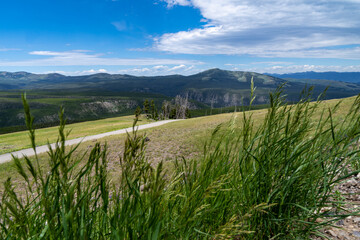 View from the Mt. Washburn trailhead area of Yellowstone National Park from Chittendon Road