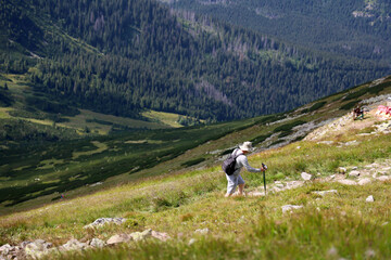 Turyści na szlaku górskim w Tatrach polskich w czasie wakacji. Dużo ludzi. 