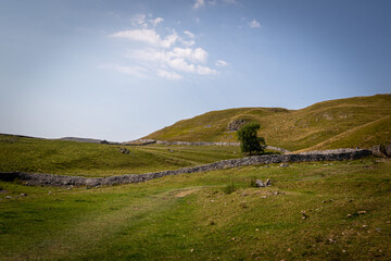 landscape with a wall