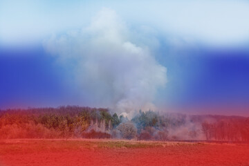 Cotton in Russia. War and explosion in the forest. Burning carried on the background of the flag of Russia during the war in Ukraine