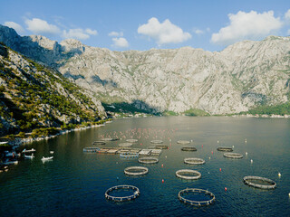 Oyster farm. Farm in the sea. Montenegro. Aerial view.