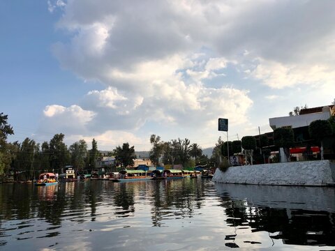 boats in the harbor