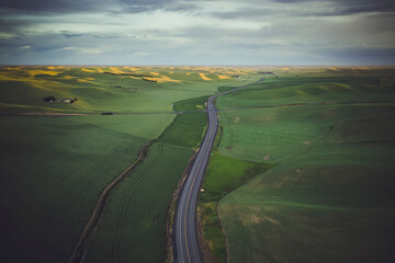 A road between green hills, Palouse, Eastern Washington
