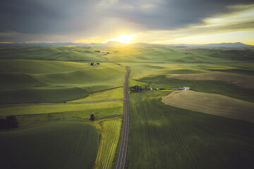 A road between green hills, Palouse, Eastern Washington