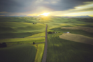 A road between green hills, Palouse, Eastern Washington © Cavan