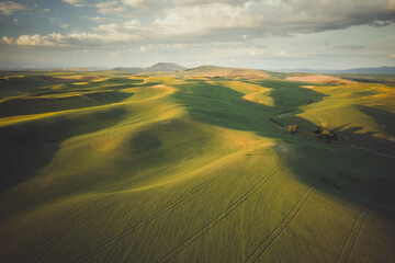 Green hills from above, Palouse, Eastern Washington