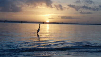 Fototapeta premium sunset on the beach