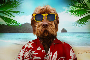 Hund mit Sonnenbrille macht Urlaub