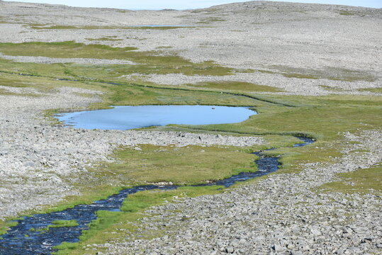 Tundra
Kinnarodden
Arctic Circle, Lebesby/Gamvik Kommune
Finnmark, Norway

Permafrost
