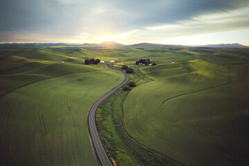 A road between green hills, Palouse, Eastern Washington
