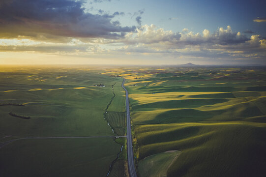 A road between green hills, Palouse, Eastern Washington