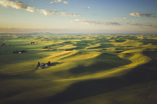 Green hills from above, Palouse, Eastern Washington
