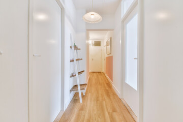 Light narrow hallway with many doors in white walls and glowing lamp over lumber floor
