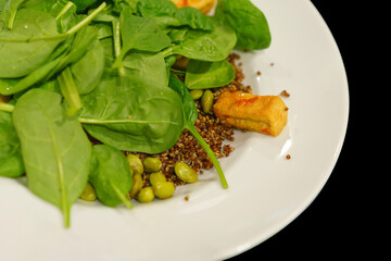 A white plate with green spinach, fried tofu, and quinoa on a black background. Heap. Quinoa. Appetizer. Vegan Food. Cuisine. Fried Tofu. Diner. Brunch. Eats. Nutriment. Foodstuff. Nutrient. Feed