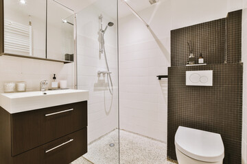 Sinks with mirrors and toilet near shower box with glass door in modern bathroom with white tiled...