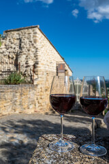 Glass of red dry wine and ruins of medieval castle of Châteauneuf-du-Pape ancient wine making village in France