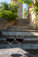 Glass of red dry wine and ruins of medieval castle of Châteauneuf-du-Pape ancient wine making village in France