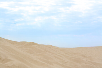Fototapeta na wymiar Beautiful view of sandy beach on summer day
