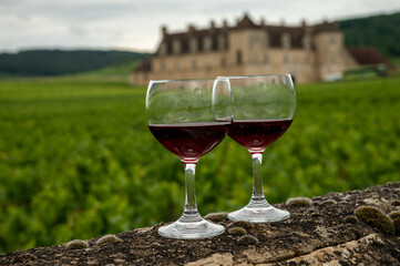 Tasting of red dry pinot noir wine in glass on premier and grand cru vineyards in Burgundy wine making region with chateau on background, France