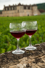 Tasting of red dry pinot noir wine in glass on premier and grand cru vineyards in Burgundy wine making region with chateau on background, France