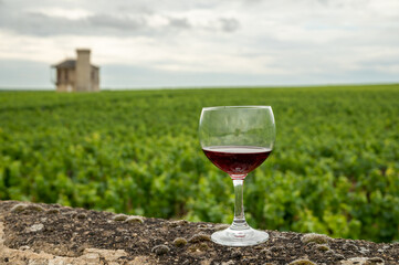 Tasting of red dry pinot noir wine in glass on premier and grand cru vineyards in Burgundy wine...