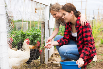 Young attractive woman and a teenage girl, who are in the backyard of the plot near the chicken...