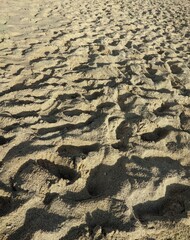 Sands in the beach