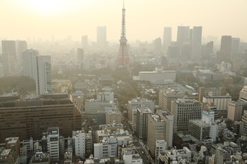 Fototapeta na wymiar Metropolis, Tokyo Tower, Cityscape
