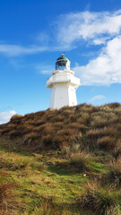 Fototapeta na wymiar Waipapa Point Lighthouse, New Zealand