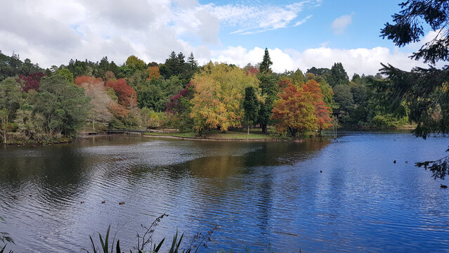 McLaren Falls Park in autumn colors, New Zealand