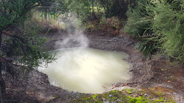 Geothermal water pool in Rotorua park, New Zealand