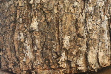 texture