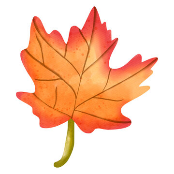 Autumn Watercolor Maple leaves, Autumn or Fall Animal decor, Digital paint watercolor illustration