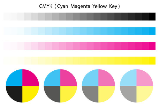 Cmyk color palette and wheel. Vector illustration. Stock image. 