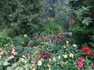 Full-color horizontal photo. Garden landscape. Flower garden, sedge, ornamental grasses and shrubs.