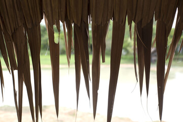 Thatched roof of woven coconut leaves.
