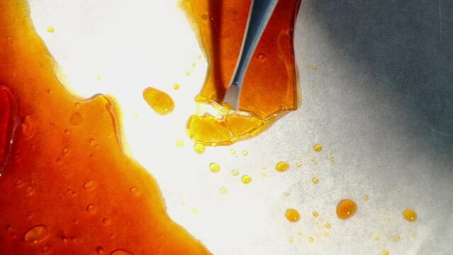 hand with metal stick crush shatter piece golden wax. cannabis extract. High quality FullHD footage