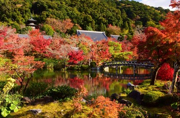秋の京都・紅葉の醍醐寺